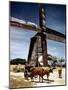 December 1946: a Herder with His Cattle Oxen in Front of an Old Windmill in Barbados-Eliot Elisofon-Mounted Photographic Print