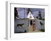 December 1946: a Hindu Temple on the Outskirts of Port Au Prince, Haiti-Eliot Elisofon-Framed Photographic Print