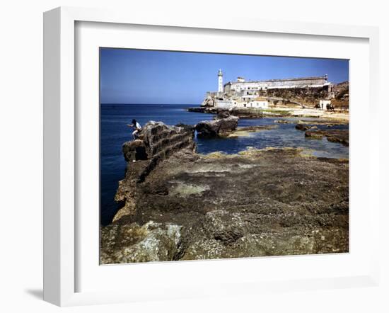 December 1946: a Ship Channel Connecting the Gulf of Mexico and Havana Harbor, Cuba-Eliot Elisofon-Framed Photographic Print