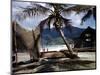 December 1946: Beach-Goers in the West Indies-Eliot Elisofon-Mounted Photographic Print