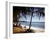 December 1946: Beach-Goers Relaxing and Swimming in the West Indies-Eliot Elisofon-Framed Photographic Print