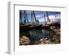 December 1946: Fishermen at in Port Au Prince Harbor in Haiti-Eliot Elisofon-Framed Photographic Print