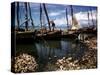 December 1946: Fishermen at in Port Au Prince Harbor in Haiti-Eliot Elisofon-Stretched Canvas