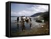 December 1946: Fishermen at Kingston Harbor in Jamaica-Eliot Elisofon-Framed Stretched Canvas