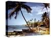 December 1946: Fishermen at Runaway Bay in Jamaica-Eliot Elisofon-Stretched Canvas