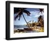 December 1946: Fishermen at Runaway Bay in Jamaica-Eliot Elisofon-Framed Photographic Print