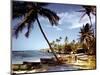 December 1946: Fishermen at Runaway Bay in Jamaica-Eliot Elisofon-Mounted Photographic Print