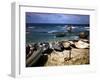 December 1946: Fishing Fleet at Bathsheba, Barbados-Eliot Elisofon-Framed Photographic Print