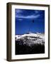 December 1946: Palm Tree Blowing in the Wind in Bathsheba, Barbados-Eliot Elisofon-Framed Photographic Print