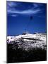 December 1946: Palm Tree Blowing in the Wind in Bathsheba, Barbados-Eliot Elisofon-Mounted Photographic Print