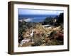 December 1946: Shaw Park in Ocho Rios Bay, Jamaica-Eliot Elisofon-Framed Photographic Print