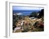 December 1946: Shaw Park in Ocho Rios Bay, Jamaica-Eliot Elisofon-Framed Photographic Print