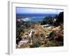 December 1946: Shaw Park in Ocho Rios Bay, Jamaica-Eliot Elisofon-Framed Photographic Print