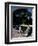 December 1946: Swimmers Relaxing by the Pool at Shaw Park Resort Hotel in Ocho Rios, Jamaica-Eliot Elisofon-Framed Photographic Print