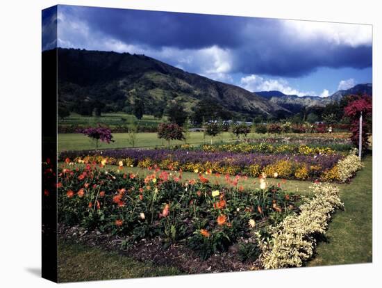 December 1946: the Royal Botanic Gardens, Usually Called Hope Gardens, in Kingston, Jamaica-Eliot Elisofon-Stretched Canvas