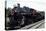 December 1946: Train Passing by on a Railroad in the West Indies-Eliot Elisofon-Stretched Canvas