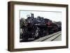 December 1946: Train Passing by on a Railroad in the West Indies-Eliot Elisofon-Framed Photographic Print