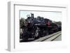 December 1946: Train Passing by on a Railroad in the West Indies-Eliot Elisofon-Framed Photographic Print