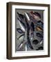 December 1946: Tropical Fish Caught by Local Fishermen in Montego Bay, Jamaica-Eliot Elisofon-Framed Photographic Print