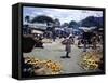 December 1946: Vendors at an Open Air Market at Petionville, Haiti-Eliot Elisofon-Framed Stretched Canvas