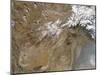 December 26, 2005, Satellite View of Afghanistan-Stocktrek Images-Mounted Photographic Print