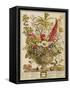 December, from 'twelve Months of Flowers' by Robert Furber (C.1674-1756) Engraved by Henry Fletcher-Pieter Casteels-Framed Stretched Canvas