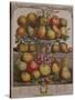 December, from 'Twelve Months of Fruits'-Pieter Casteels-Stretched Canvas