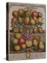 December, from 'Twelve Months of Fruits'-Pieter Casteels-Stretched Canvas