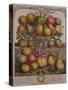 December, from 'Twelve Months of Fruits'-Pieter Casteels-Stretched Canvas