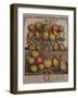 December, from 'Twelve Months of Fruits'-Pieter Casteels-Framed Giclee Print