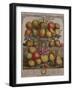 December, from 'Twelve Months of Fruits'-Pieter Casteels-Framed Giclee Print