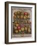 December, from 'Twelve Months of Fruits'-Pieter Casteels-Framed Giclee Print