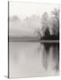 December Lake-Nicholas Bell-Stretched Canvas