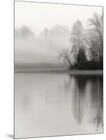 December Lake-Nicholas Bell-Mounted Photographic Print