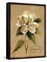 December Magnolia Vintage-Silvia Vassileva-Framed Stretched Canvas