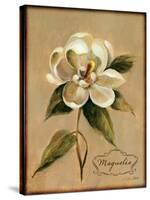 December Magnolia Vintage-Silvia Vassileva-Stretched Canvas