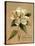 December Magnolia Vintage-Silvia Vassileva-Stretched Canvas