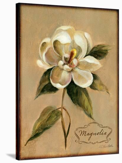 December Magnolia Vintage-Silvia Vassileva-Stretched Canvas