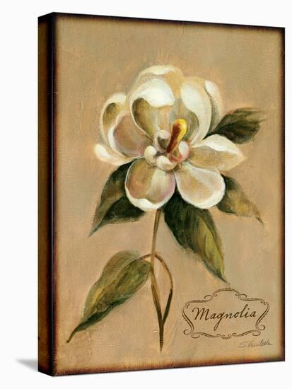 December Magnolia Vintage-Silvia Vassileva-Stretched Canvas