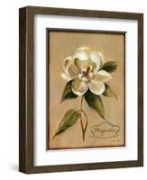 December Magnolia Vintage-Silvia Vassileva-Framed Art Print