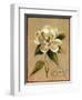 December Magnolia Vintage-Silvia Vassileva-Framed Art Print