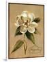 December Magnolia Vintage-Silvia Vassileva-Framed Art Print