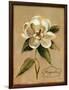 December Magnolia Vintage-Silvia Vassileva-Framed Art Print