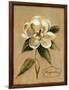 December Magnolia Vintage-Silvia Vassileva-Framed Art Print