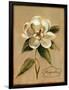 December Magnolia Vintage-Silvia Vassileva-Framed Art Print