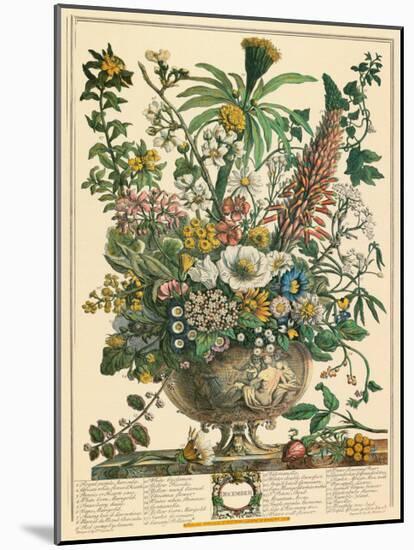 December-Robert Furber-Mounted Art Print