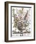 December-H. Fletcher-Framed Giclee Print