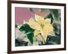 December-Haruyo Morita-Framed Art Print