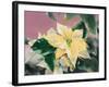 December-Haruyo Morita-Framed Art Print