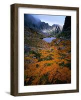 Deciduous Beech on Tasmania's West Coast Range, Tasmania, Australia-Rob Blakers-Framed Photographic Print